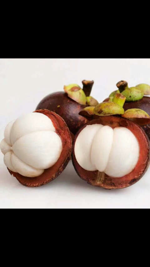 你们要吃山竹吗?来广东吧!今天最多.