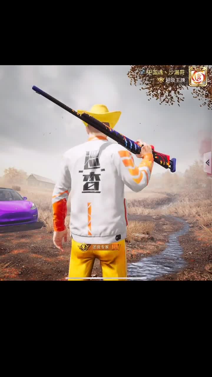 gc战队成员被封十年居然说是卡bug