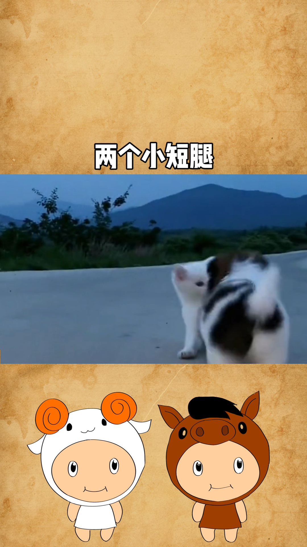 两个小短腿打架了