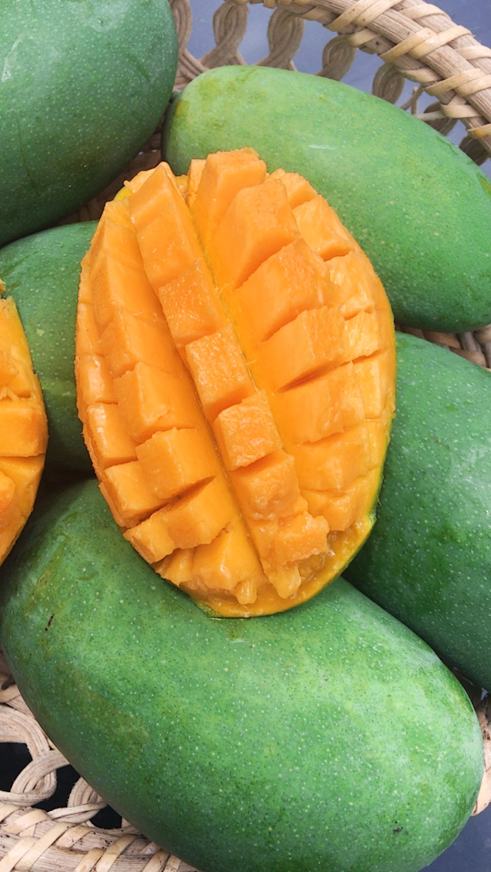 攀枝花椰香芒果