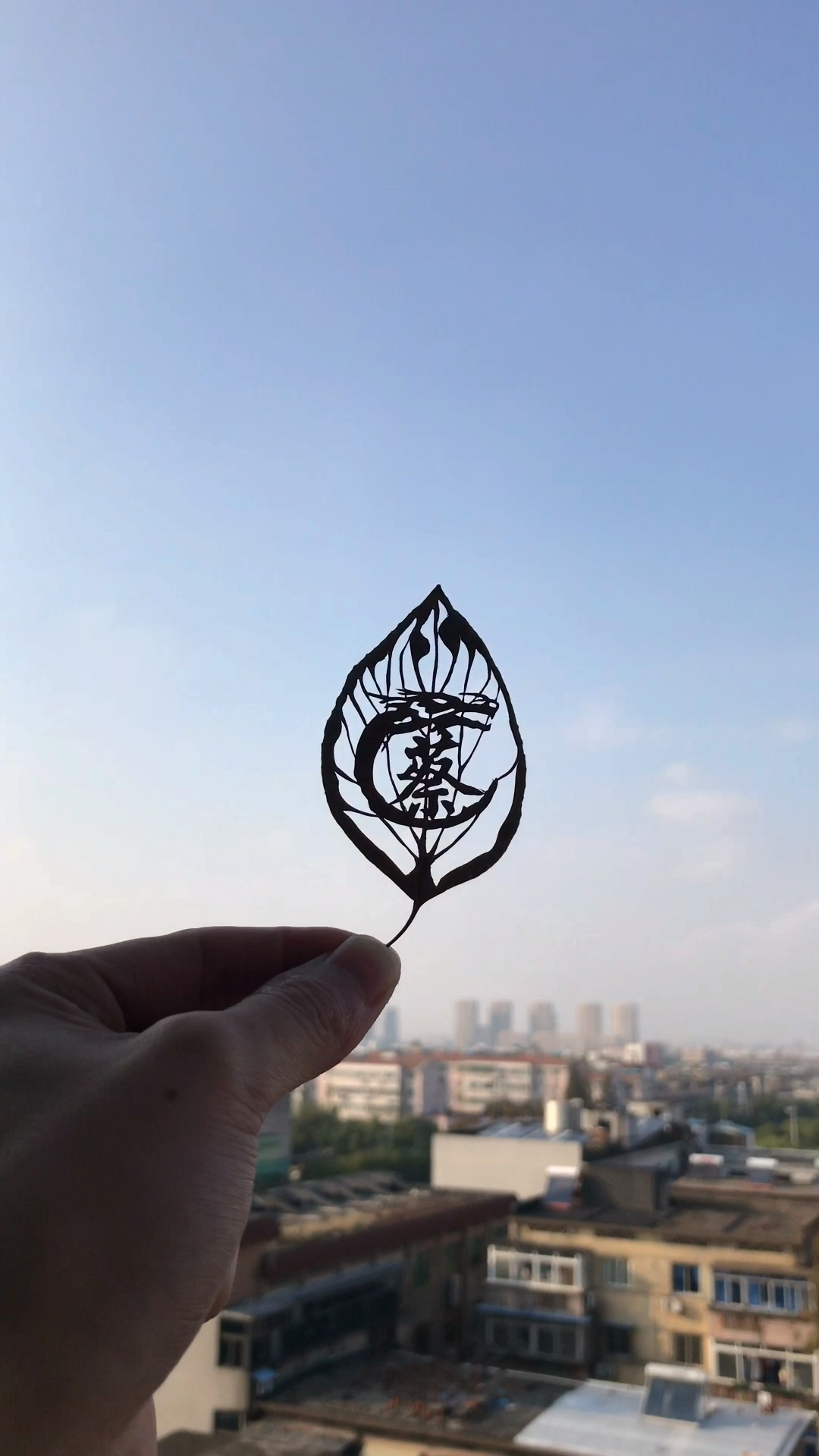 叶雕百家姓「蔡」双击77关注评论你的姓氏下一个就是你,作品来之不