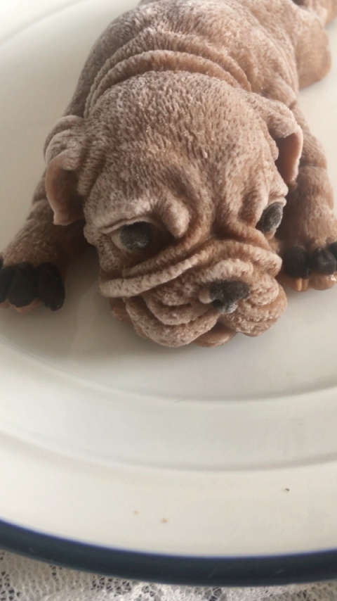 网红沙皮狗～最起来就是那么简单