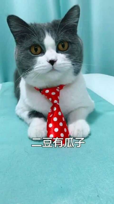 面对女神突如其来的告白,他的反应是