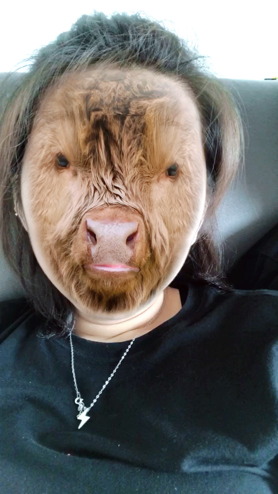 兽面人见过吗差点喷出来@{uid:1502349662339070,nick