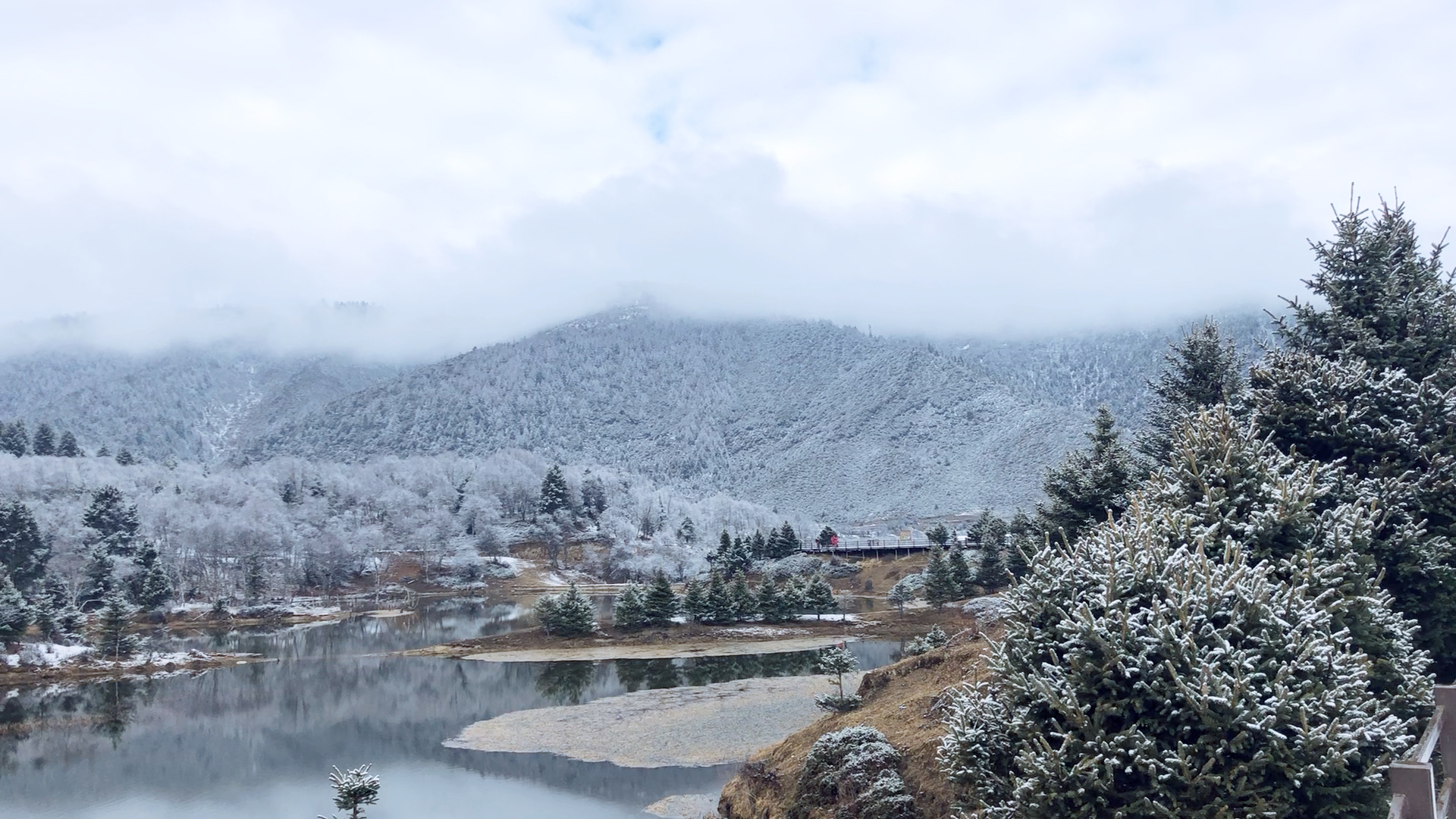 冬天的普达措 像一个童话世界7615