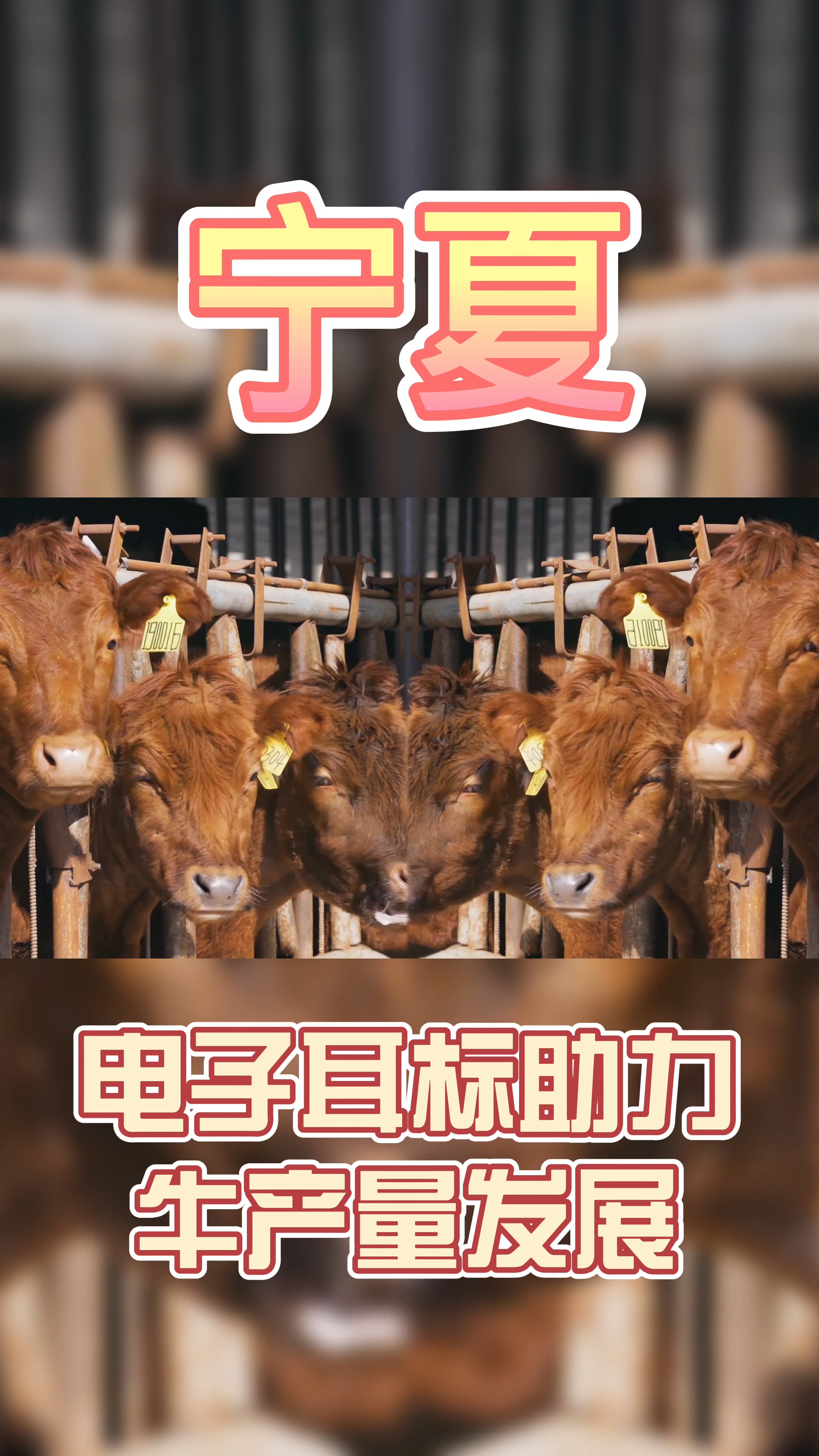 电子耳标助力牛产业高质量发展