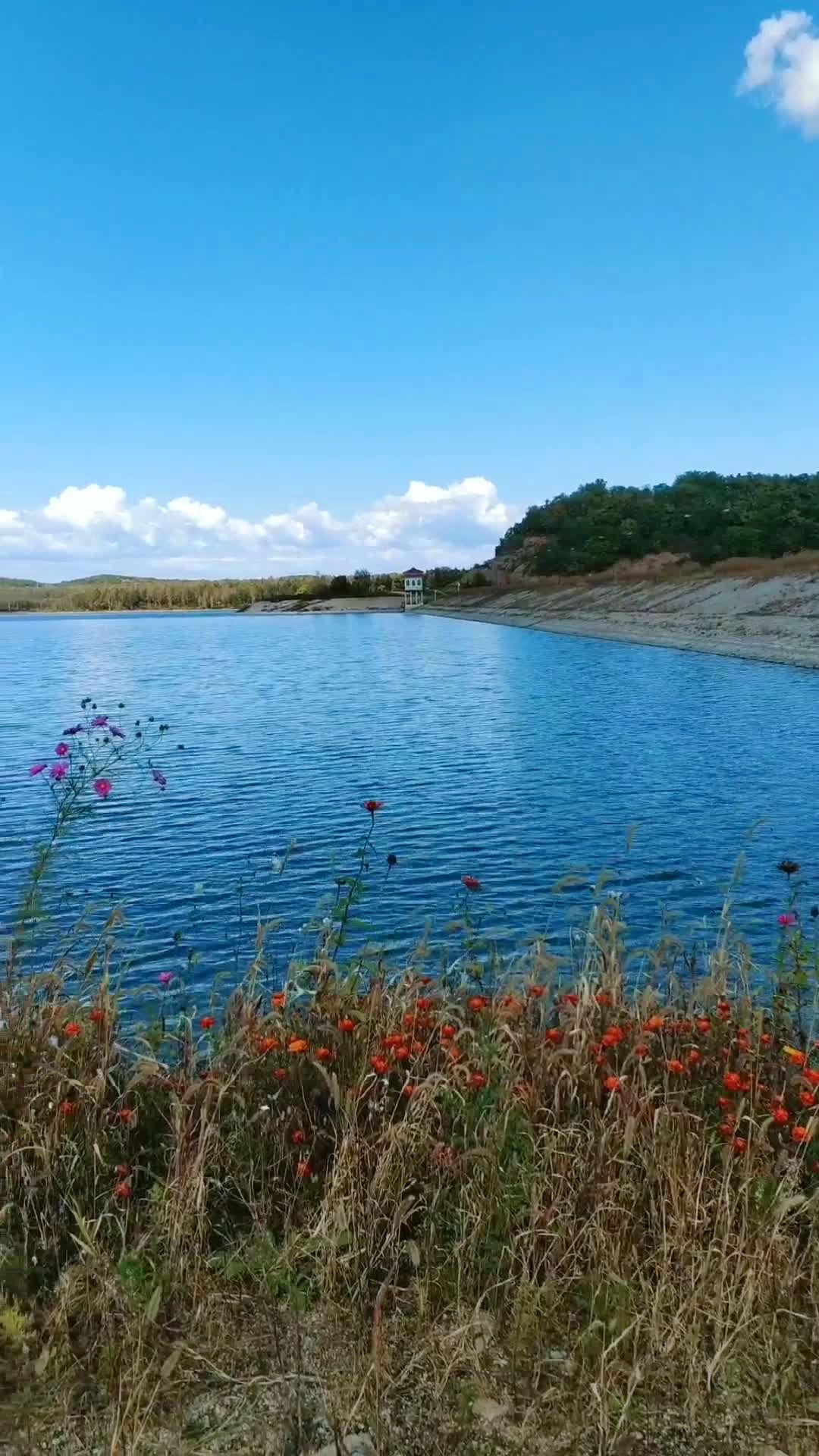 一池清水万云映,两岸花木百鸟鸣