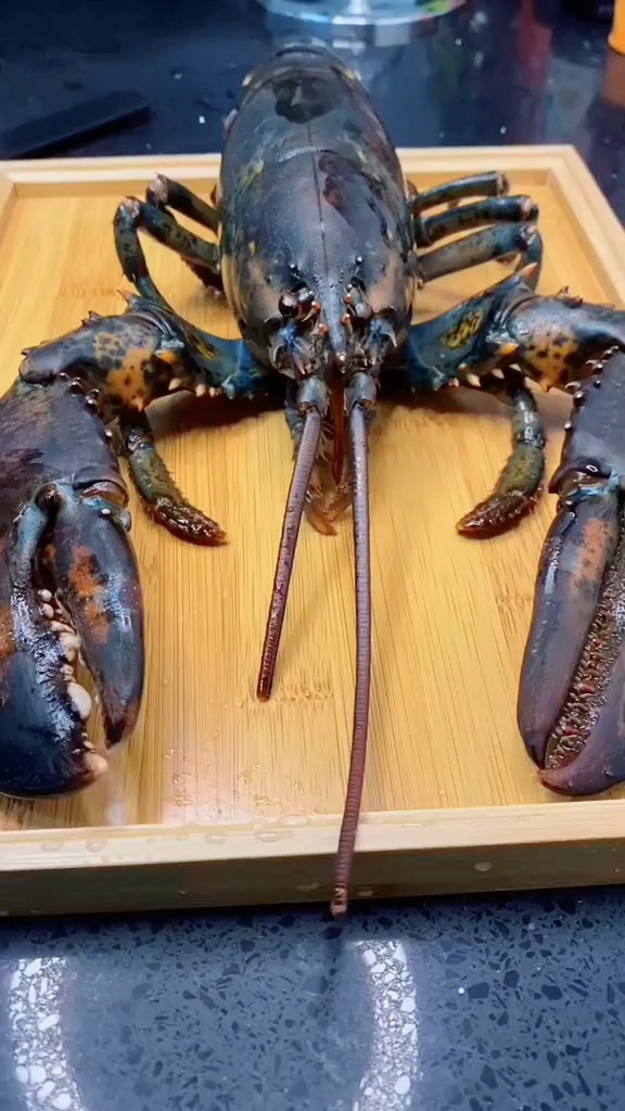 你们有没有注意到龙虾的眼睛在动?