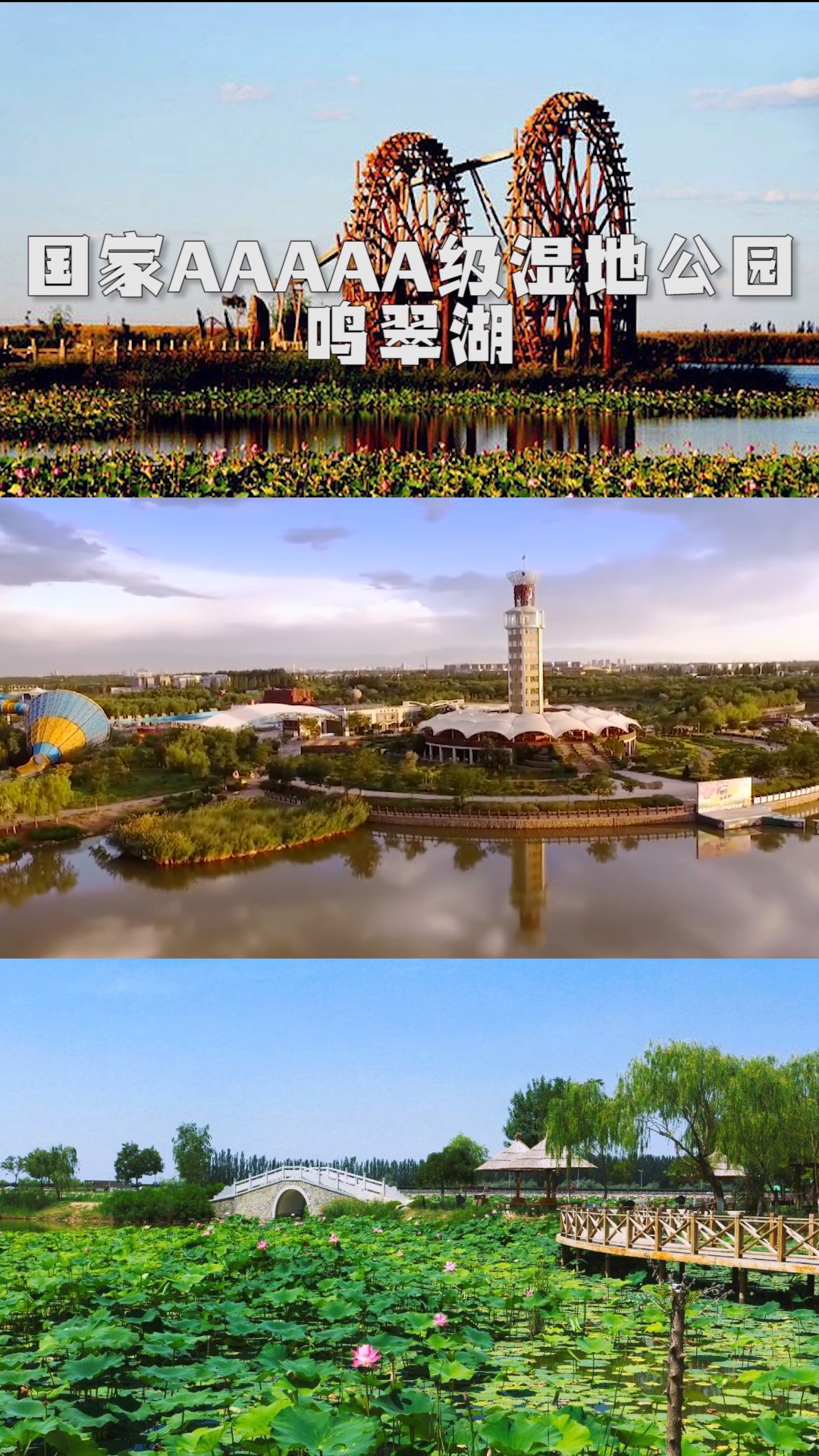 银川鸣翠湖国家湿地公园享有"中国最美的六大湿地公园之一"和"中国