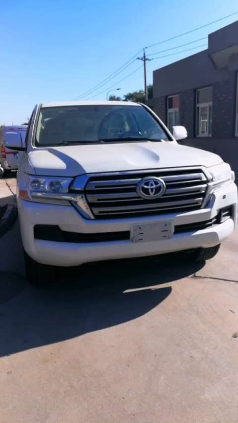 酷路泽越野西装暴徒