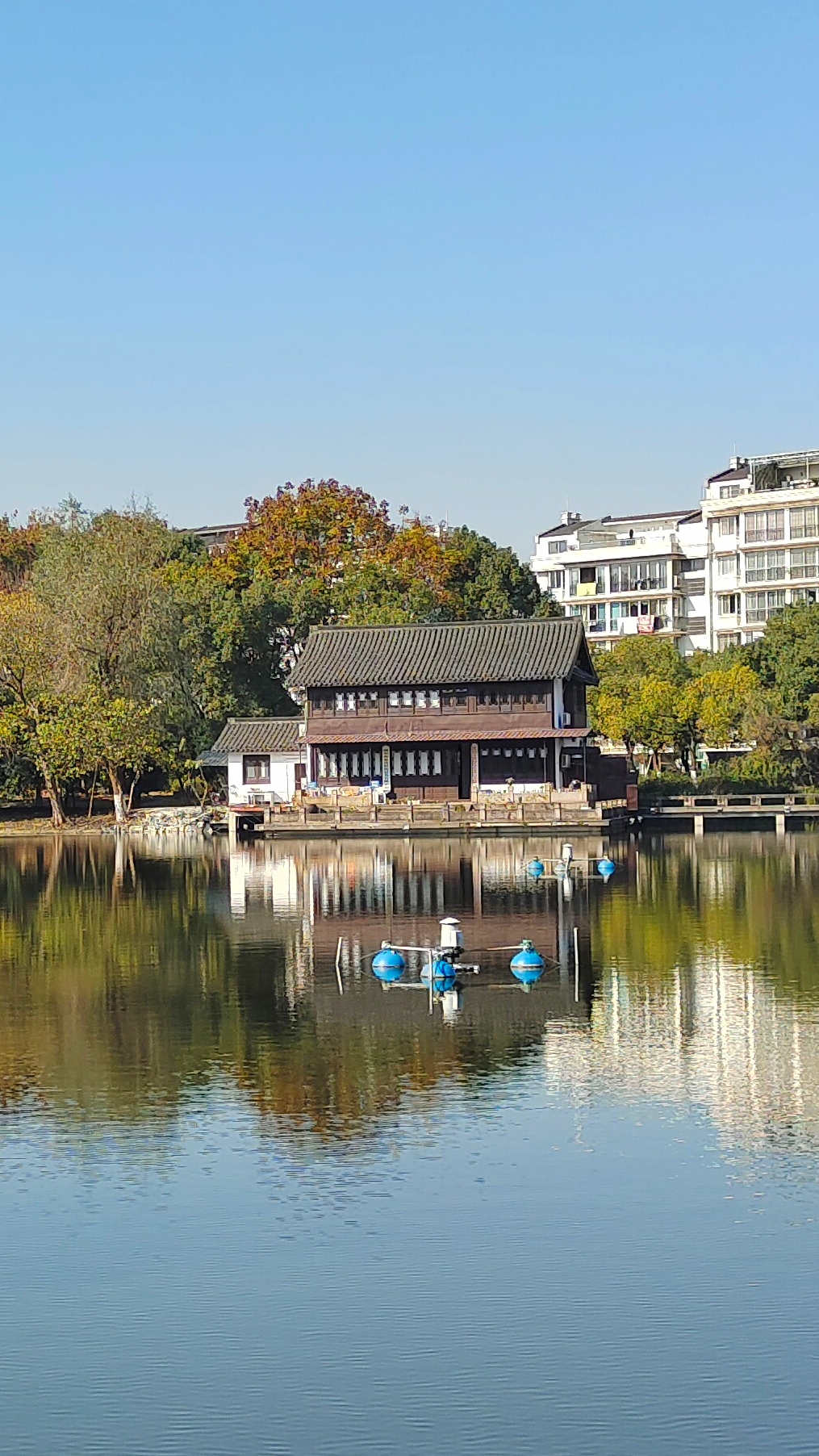 绍兴迪荡边上东大池,闹中取静的小众休闲公园,景色优美柳树成荫