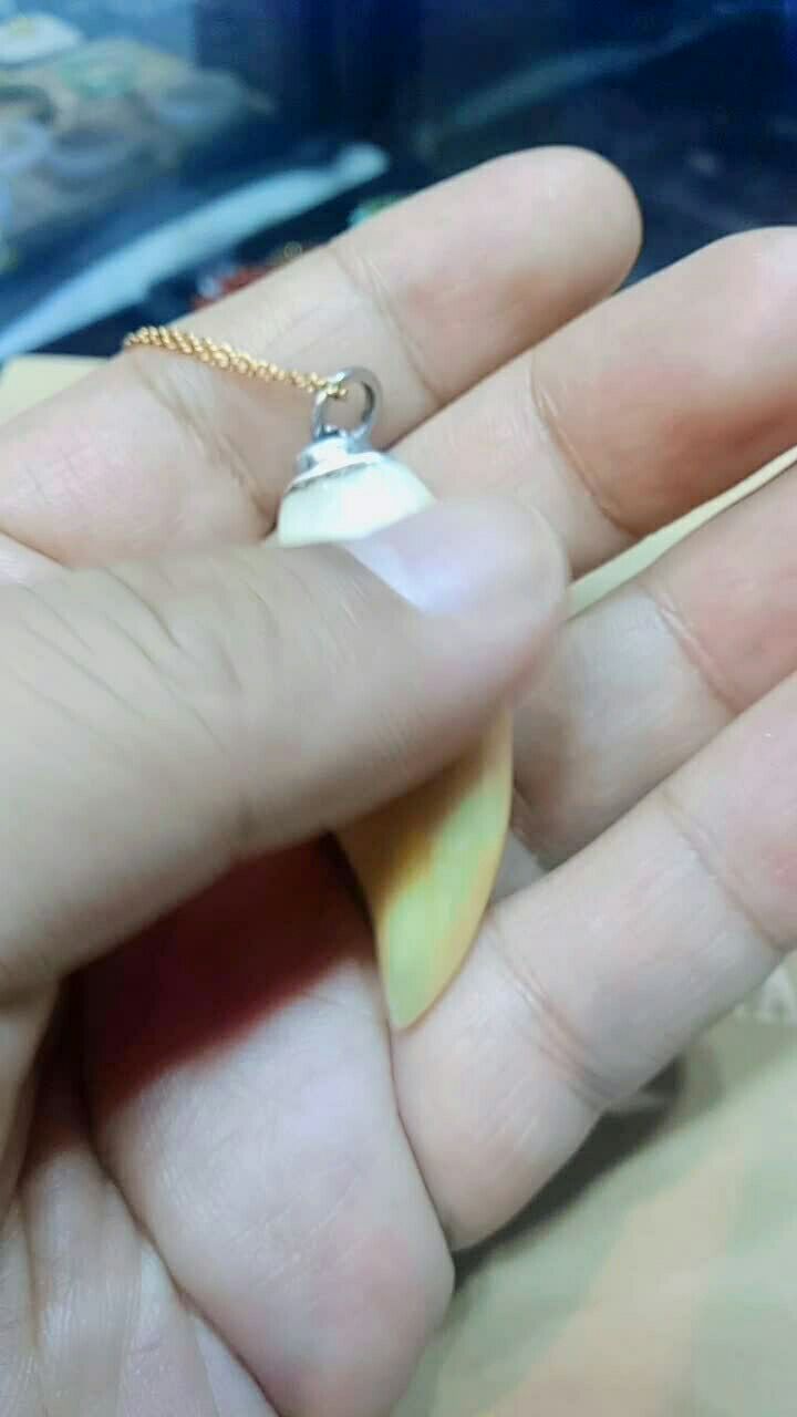 老船长的鲸鱼牙