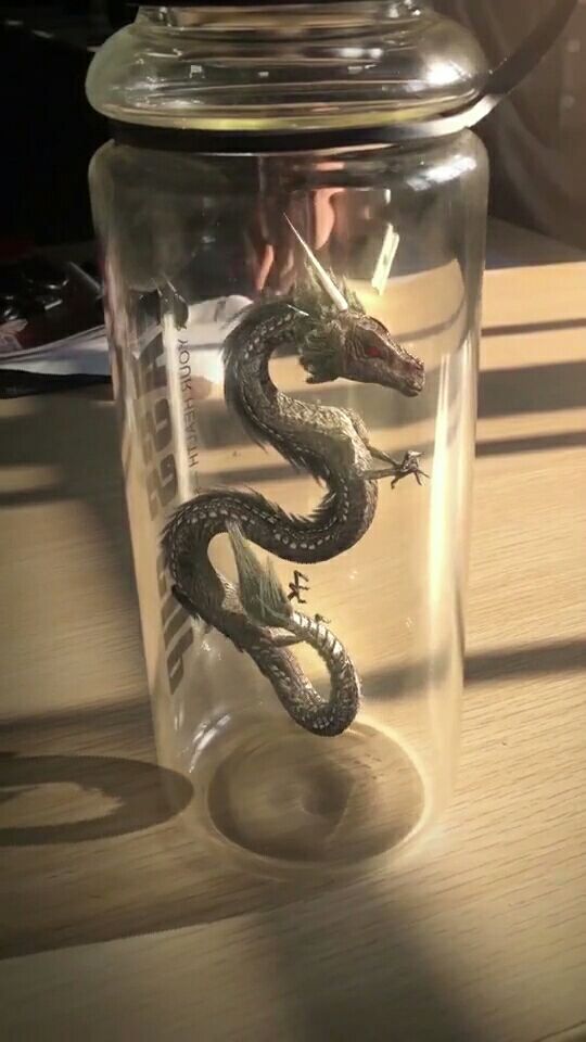 真龙,假龙,看了不要忘记点赞收藏!