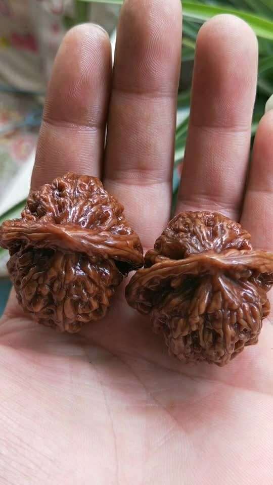 机刷核桃38包邮