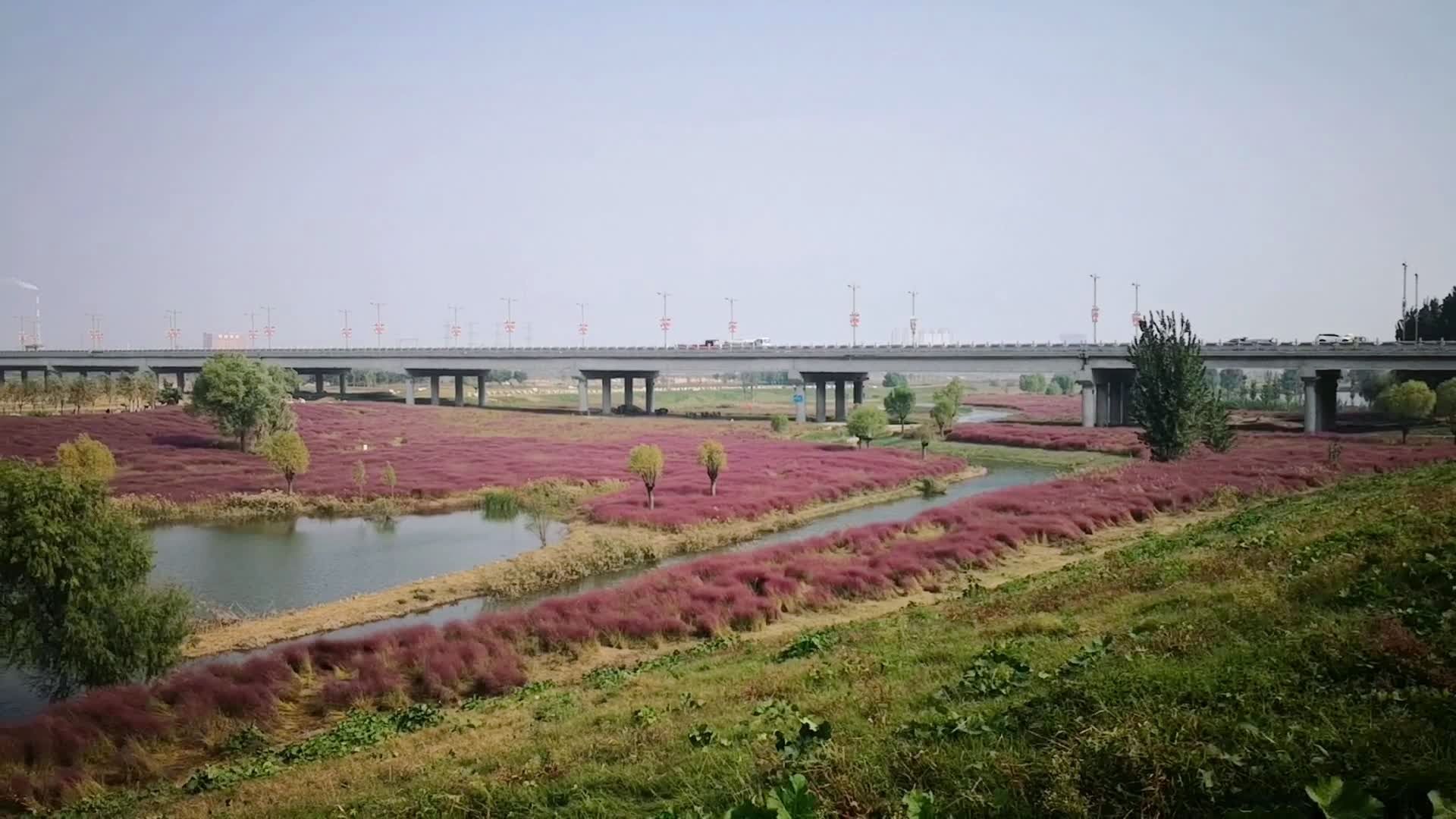 咸阳沣渭生态景观区