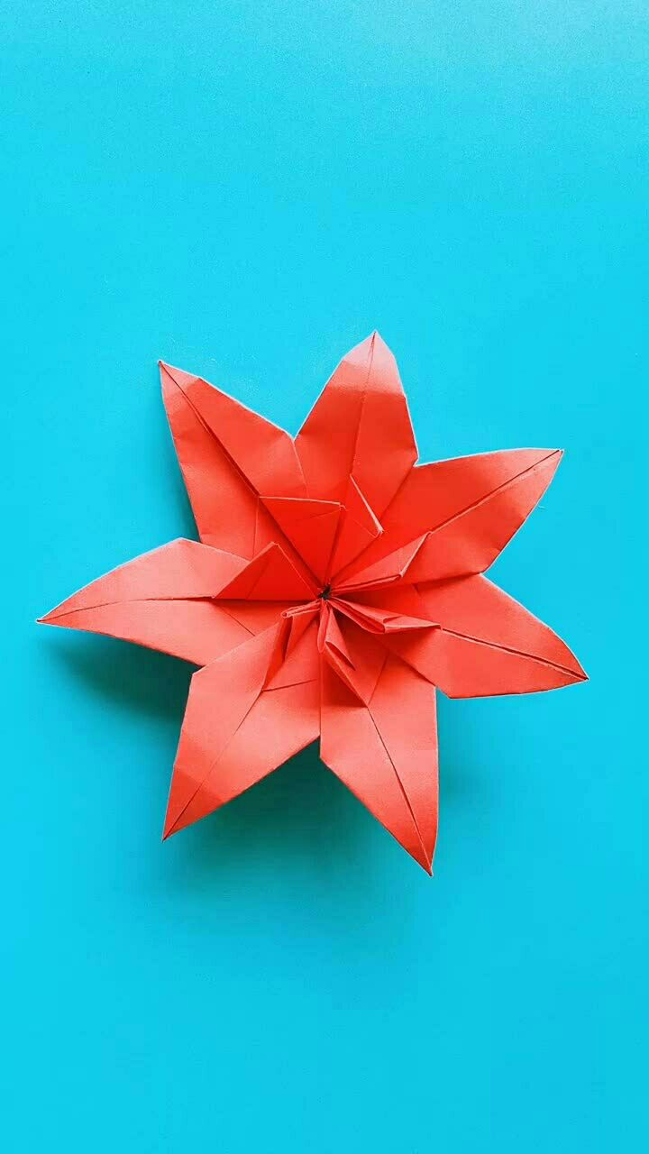 折纸王子组合七瓣花学会了吗