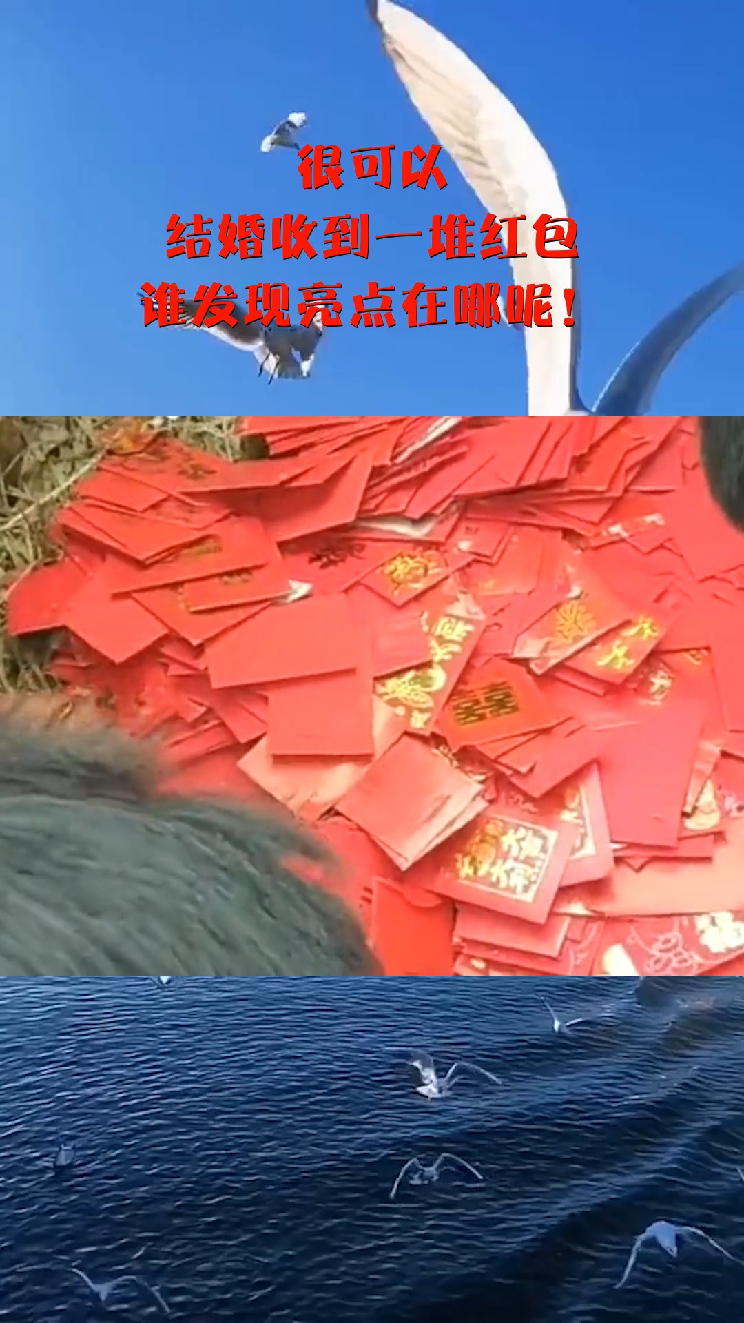 很可以,结婚收到一堆红包,谁发现亮点在哪呢!