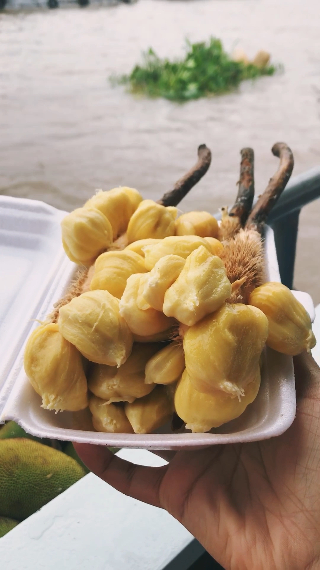 越南丐让水上市场.12块钱三大串的榴莲蜜你们吃过吗