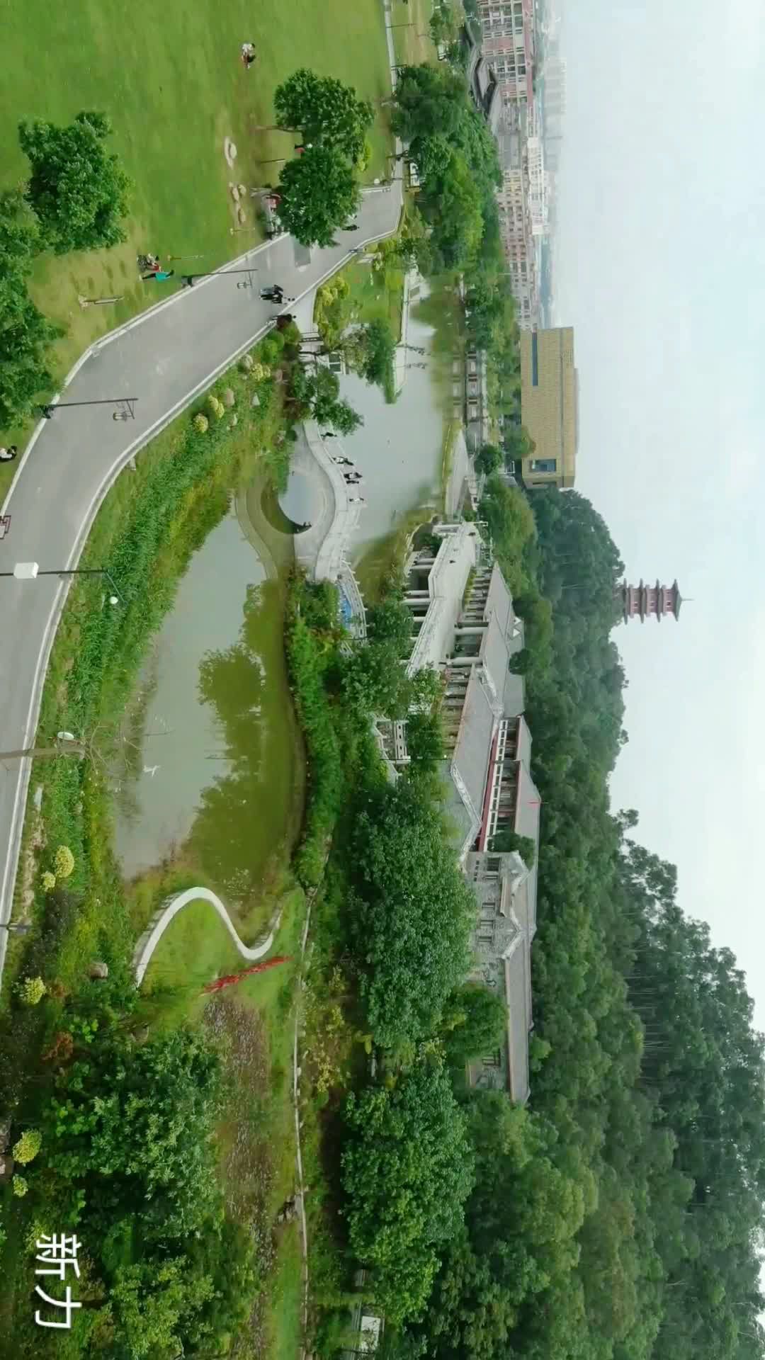 东莞寮步香市公园图片图片
