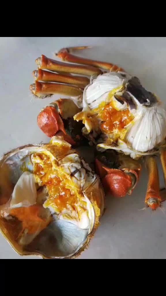 周氏180阳澄湖大闸蟹,舌尖上的华丽舞步,礼尚往来中的绝代佳品.