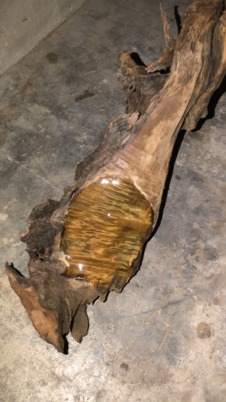 金丝楠黄料之美.