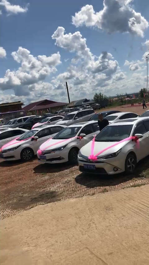 网约车车队,丰田卡罗拉,雷凌,油电混合,15846508068