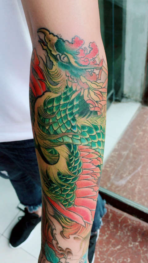 小臂彩色凤凰