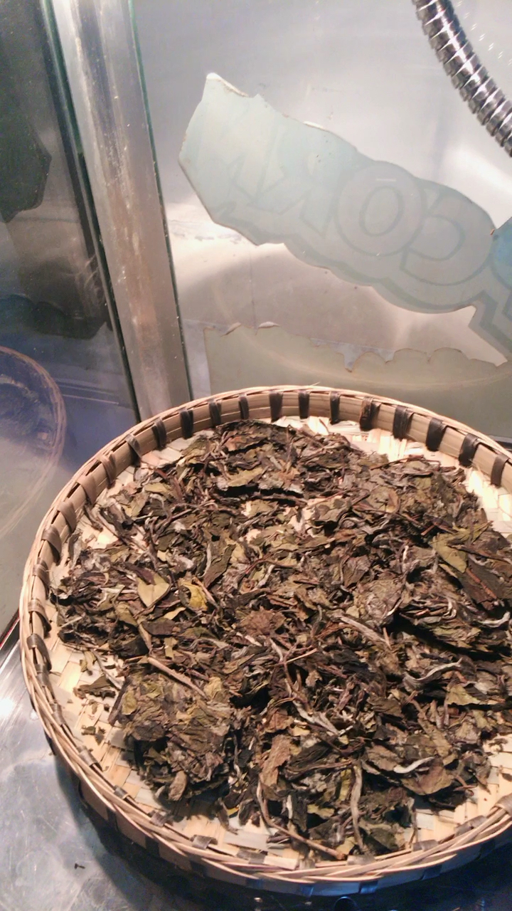 炙茶完成,进入下一个环节碾茶