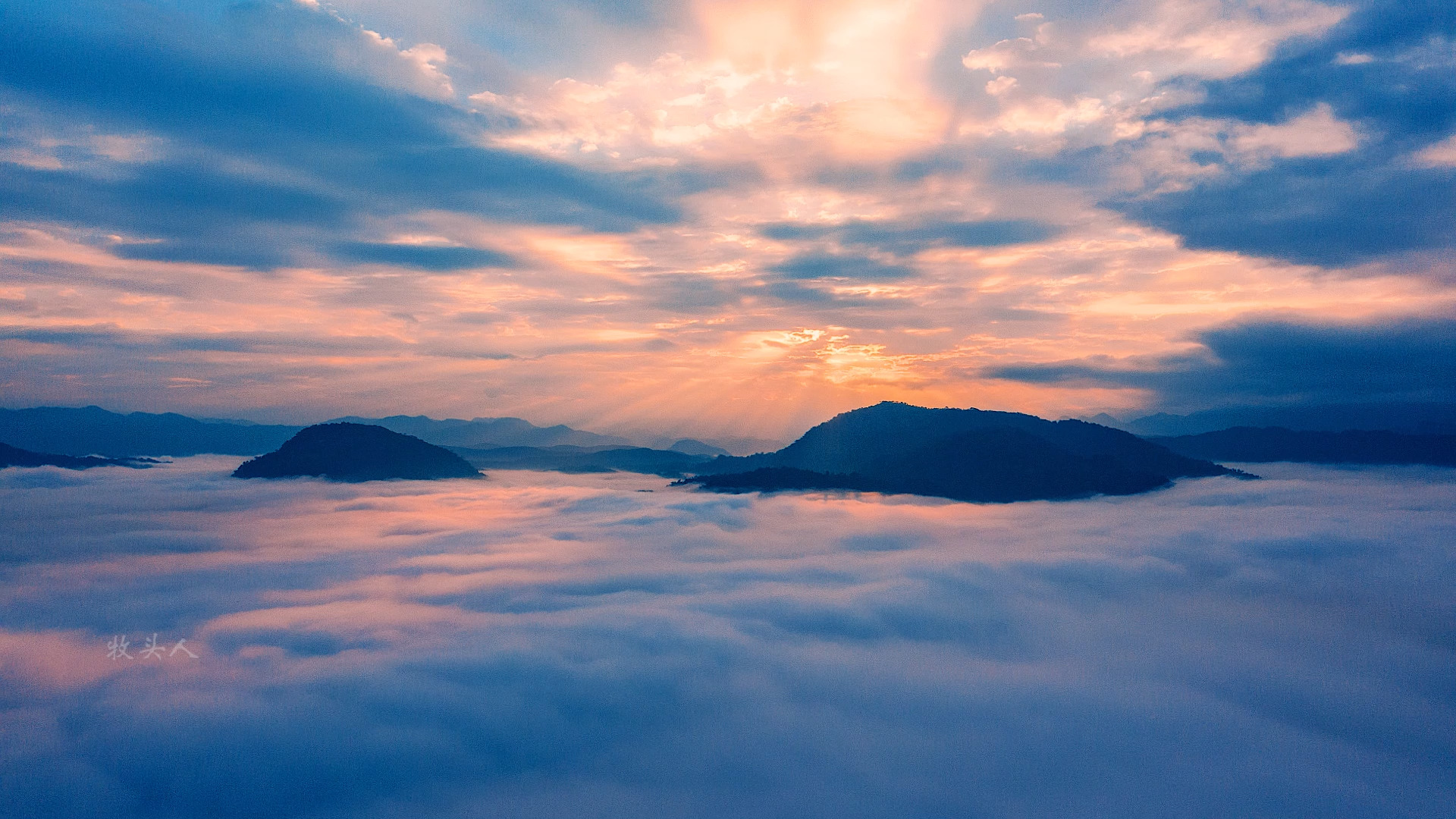带你们飞到西双版纳植物园的云层之上看风景#春节最美云旅行