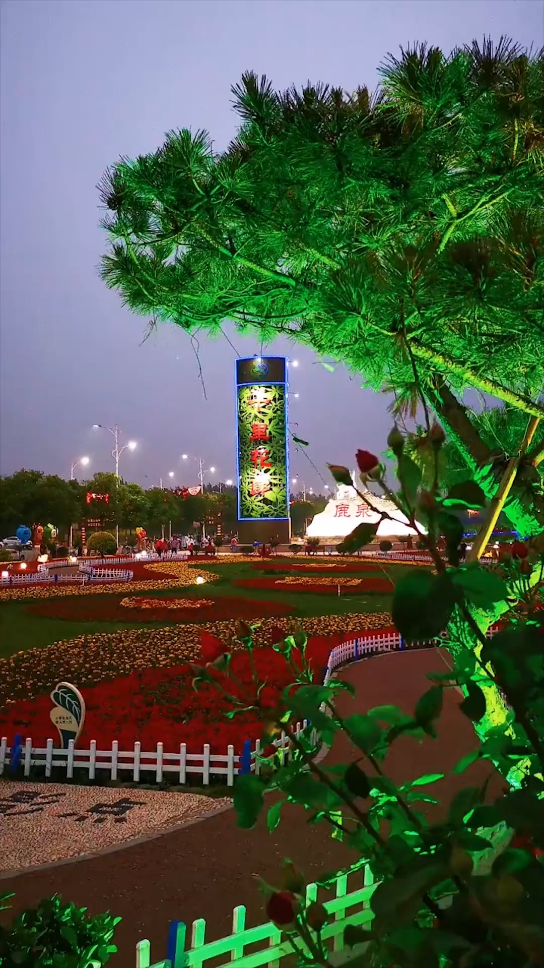 缤纷夜景流光溢彩 "十里画廊"魅力尽显