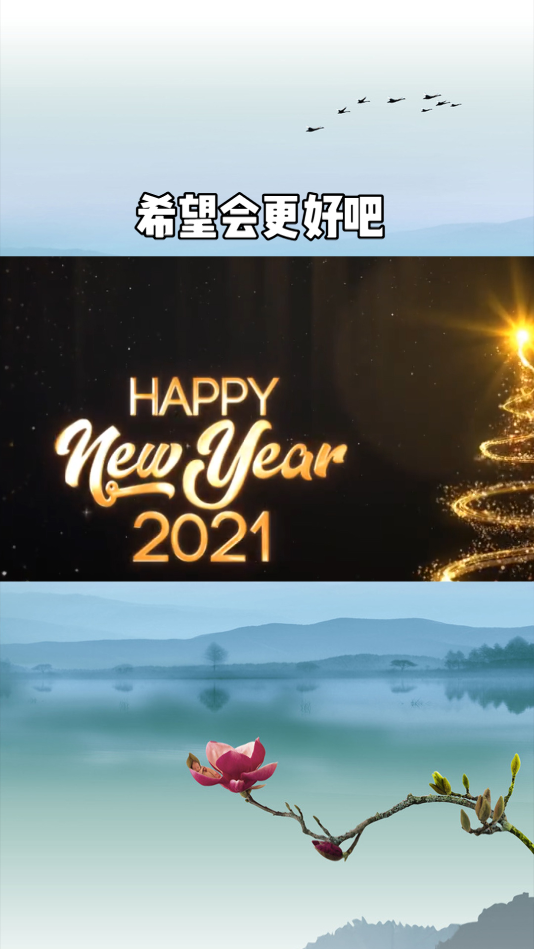 "马上就要2021年了给理想留点时间熬过低谷繁华自现"