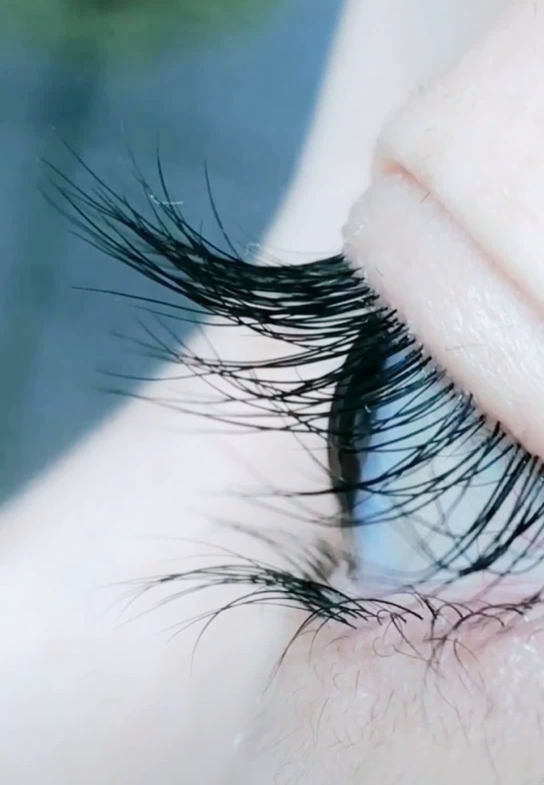 根根分明的长睫毛.每一根都是从毛囊里边长出来的