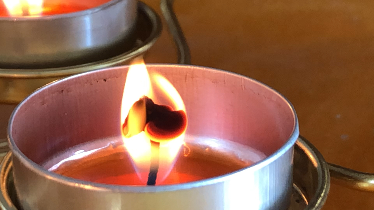 灯花并蒂结双蕊,难见只因能送喜 今日灯花灿如莲,他朝喜鹊报祥瑞