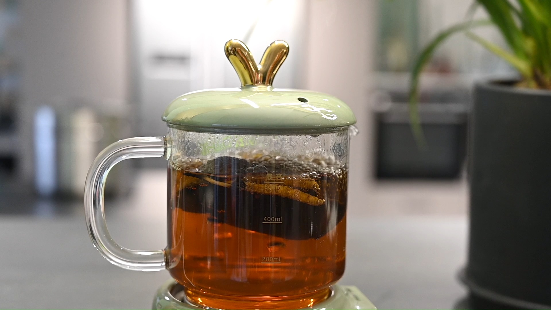 办公室的虫草陈皮下午茶,喝点养生茶,就可以更好的工作了