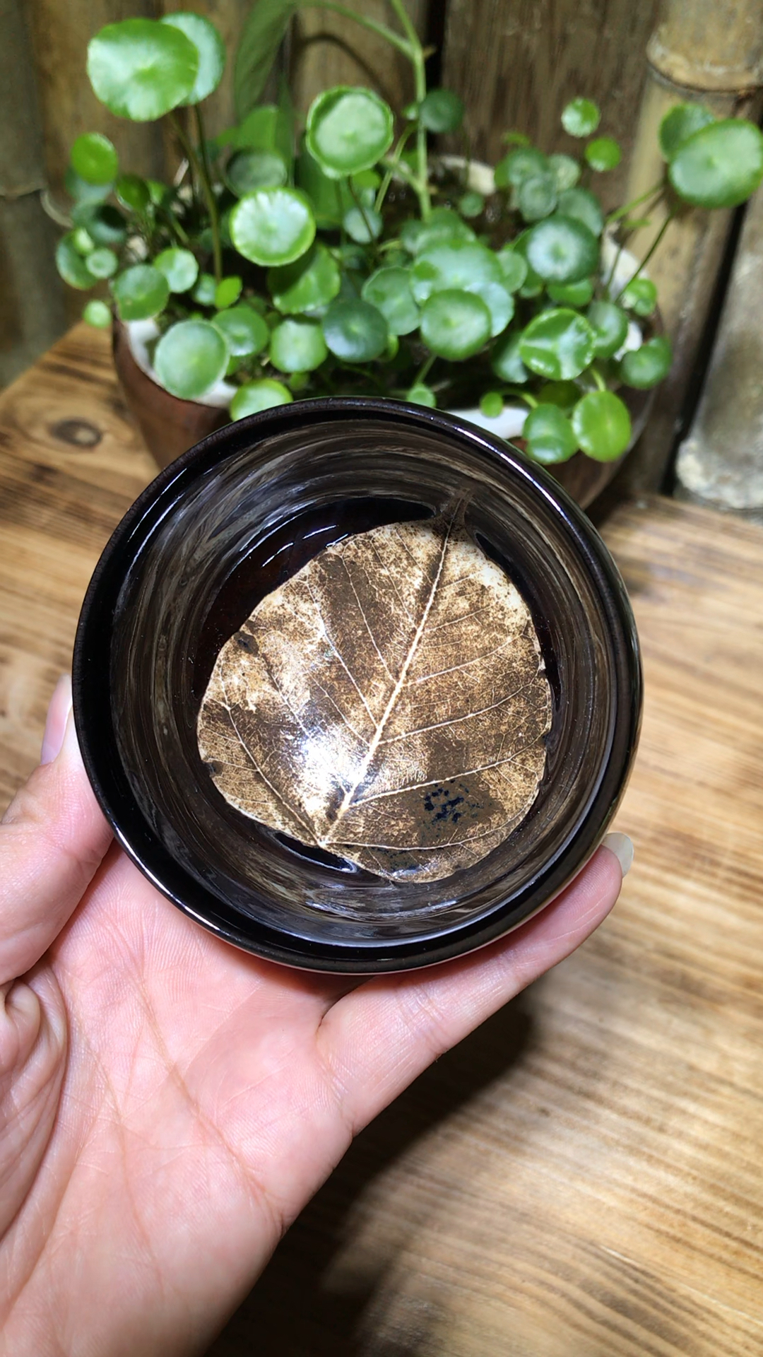 周世义真木叶盏  今生口径8.