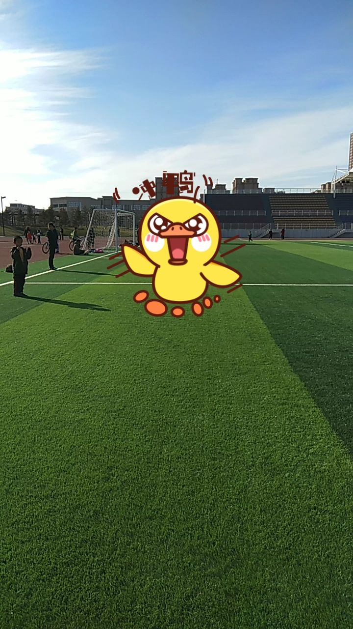 靖边新区城市运动公园足球场
