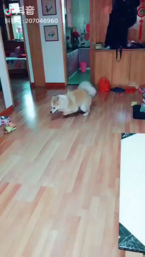 青春期的小姑娘跑出了老娘们儿的步伐~~我家果仁儿是最真实的女人