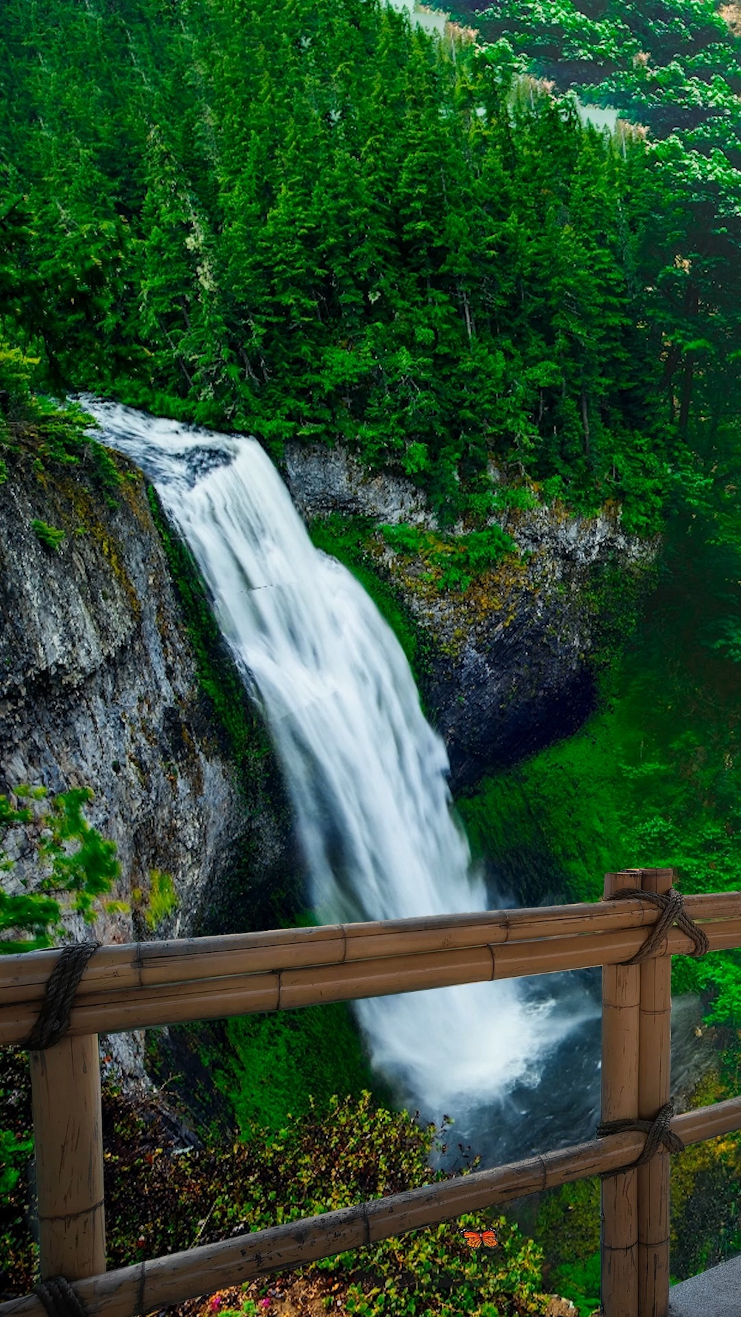 2021不要等了,想做什么就做,想去哪儿就去!