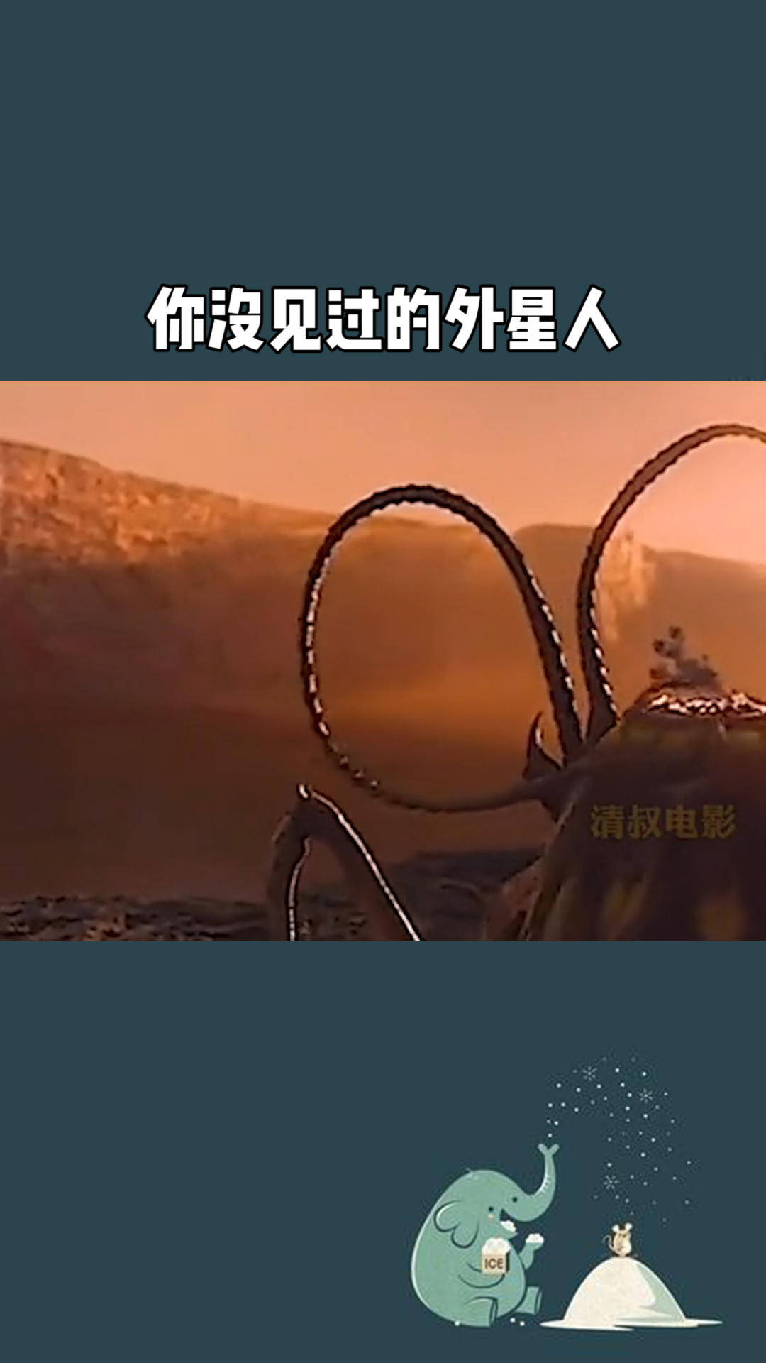 这些外星人你绝对没见过#百万视友赐神评