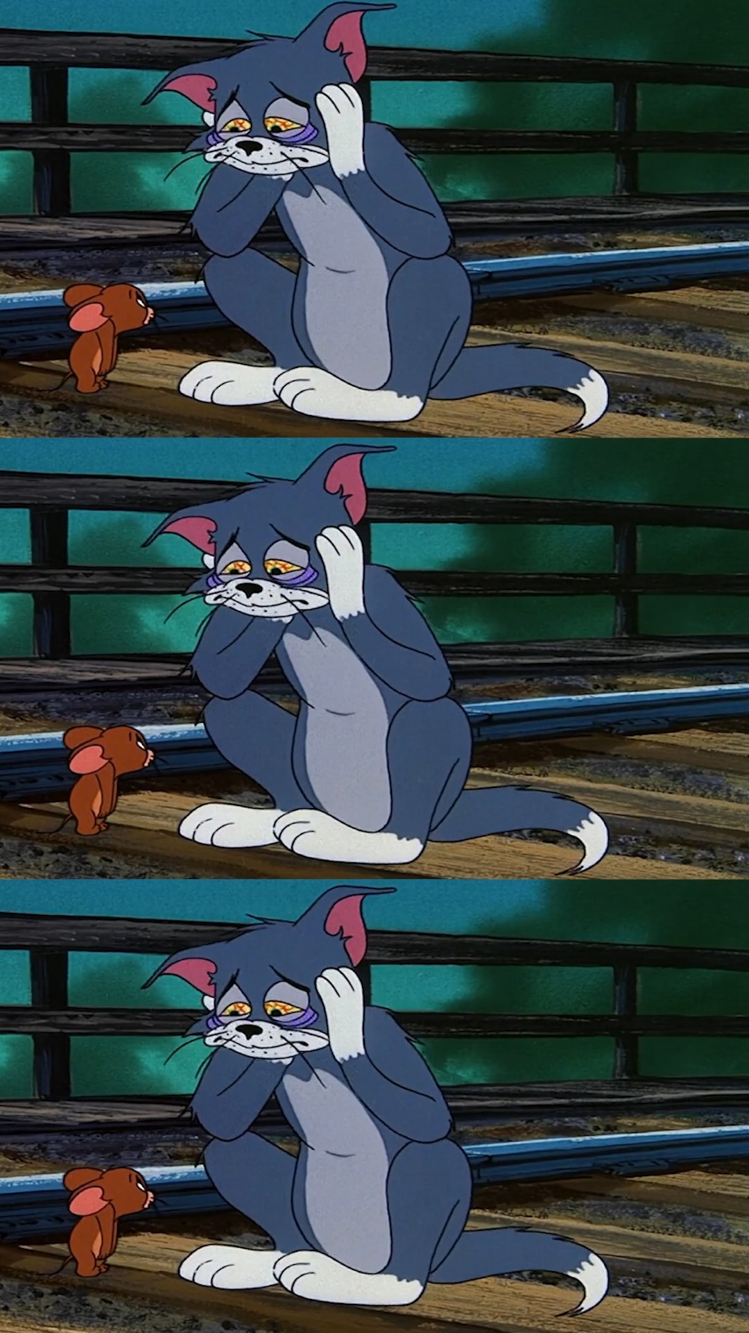 猫和老鼠 | 终于失望磨灭了热情 不敢再对谁满怀热情#猫和老鼠