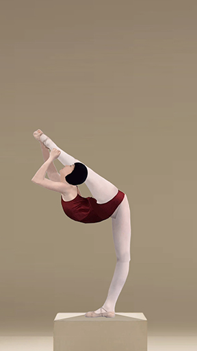 小宝妹妹#舞蹈##搬后腿有段位