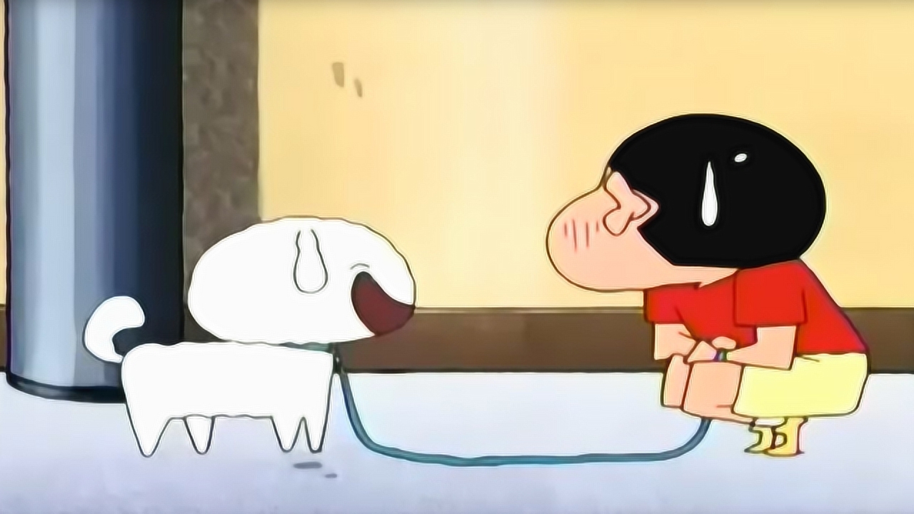 蜡笔小新带小白散步,小白就像预言之神,把小新玩弄于股掌之间