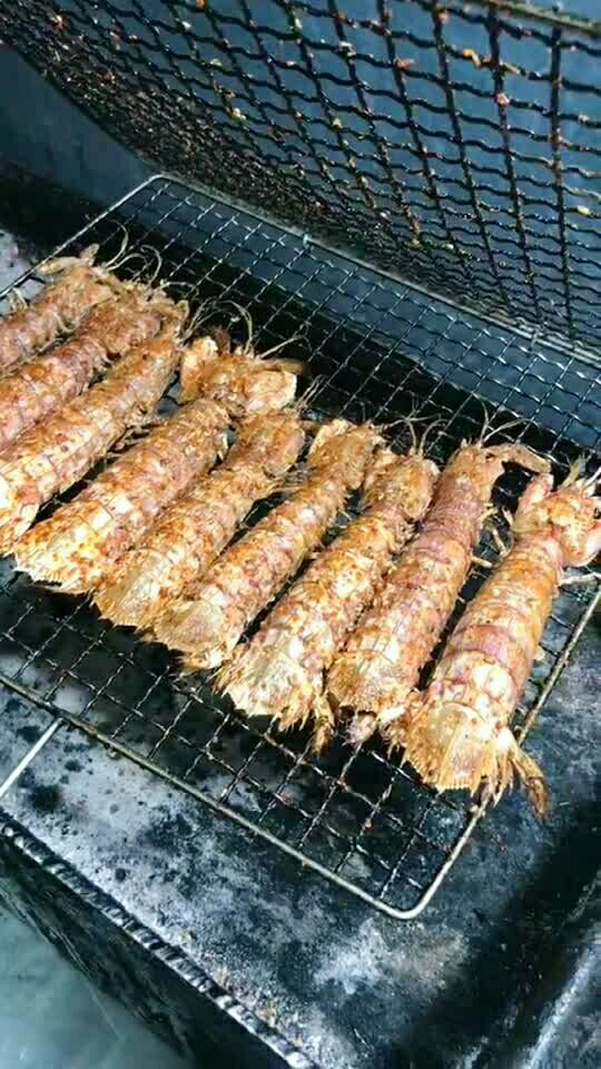 烤的虾爬子999999