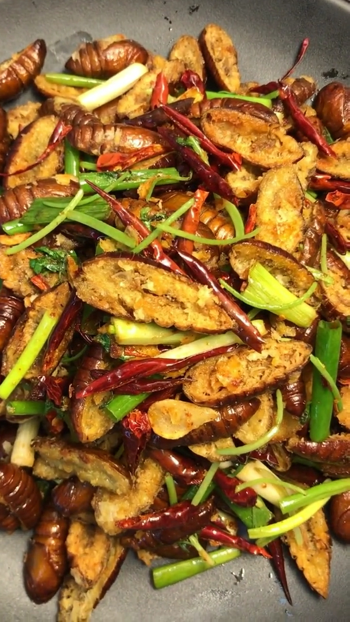 干煸蚕蛹,高营养高蛋白,有不敢吃的吗?01#蚕蛹