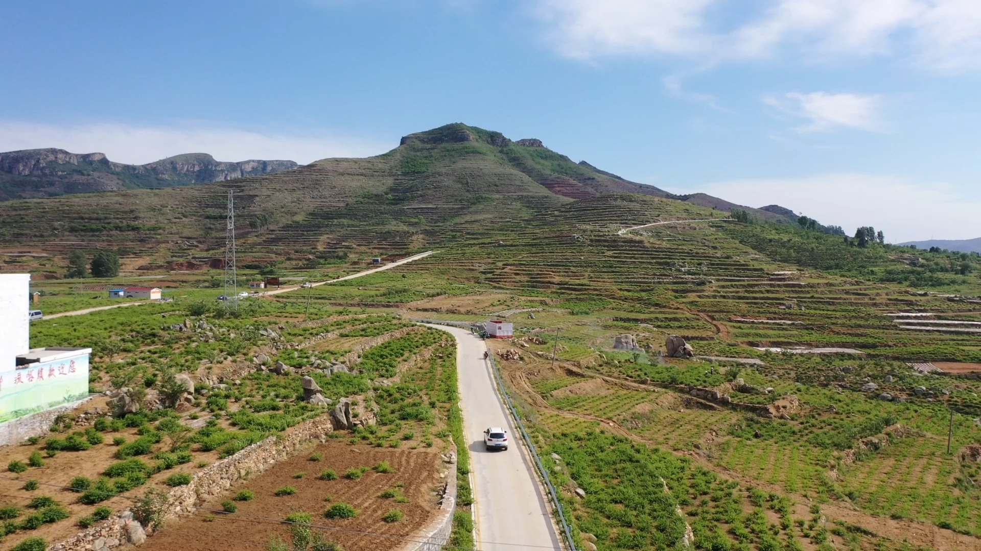 第111篇 郑城金银花百里长廊 #临沂#平邑#航拍