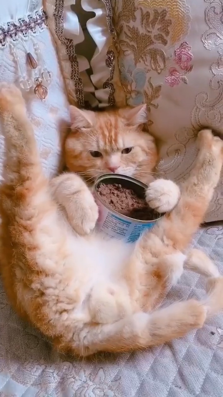 你这吃东西的姿势挺别致啊!#萌宠