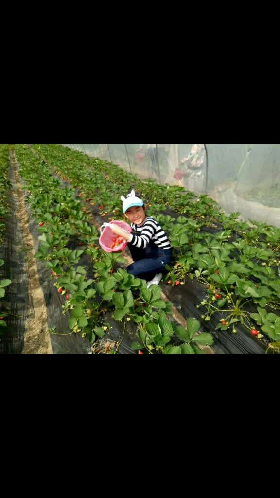 茜舞精英b班-陈元熙 在微视发布了一个超有趣的视频,速来前排围观!