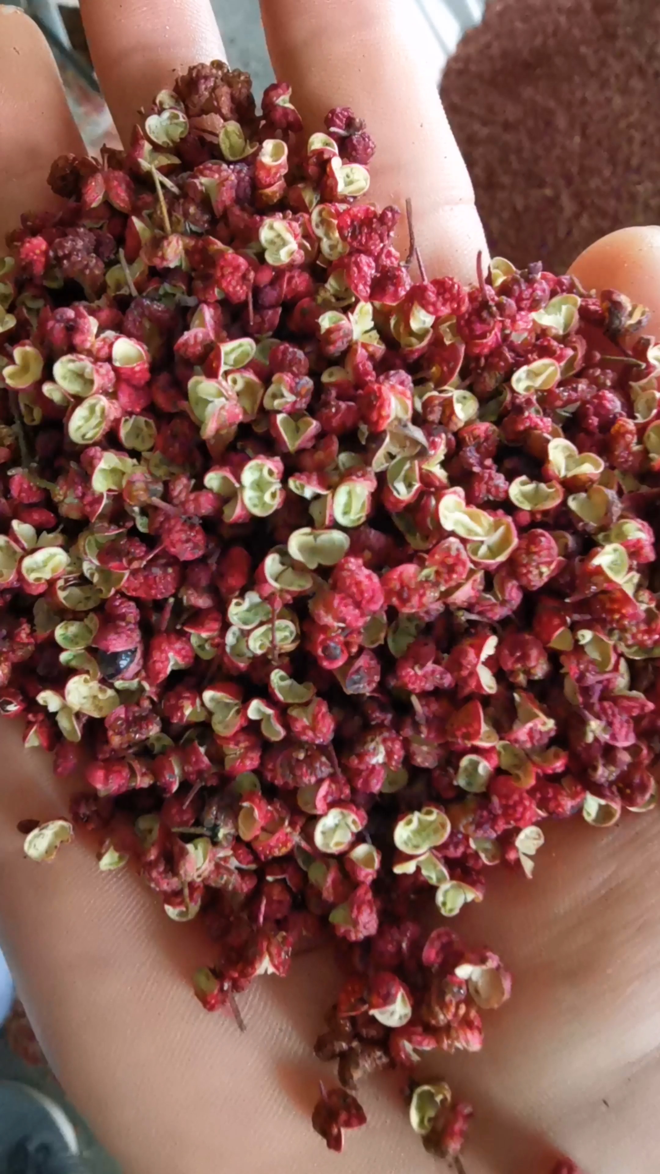 红麻椒原产地武都精品全新红花椒过筛打包发货!欢迎选购!