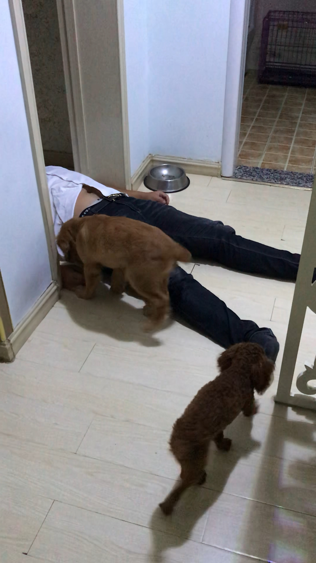 谁家还没有个喝醉酒的老公.95