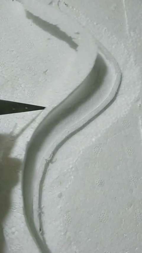 泡沫雕刻凤凰绒毛见过吗